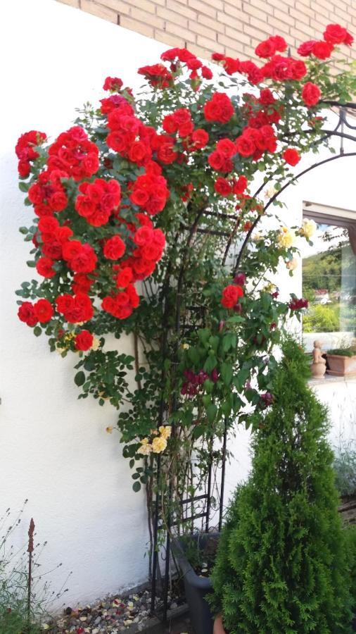 Oberotterbach Ferienwohnung Rosentraum מראה חיצוני תמונה